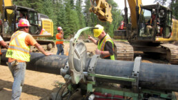 Construction workers cutting a log in the forest